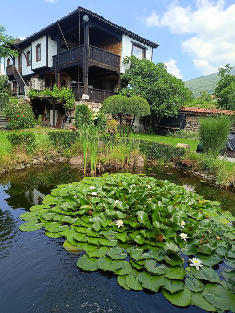 For Sale  House region Stara Zagora  , Tazha , 230 sq.m | 19984639 - image [2]