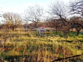 Plott Izgrev, Varna