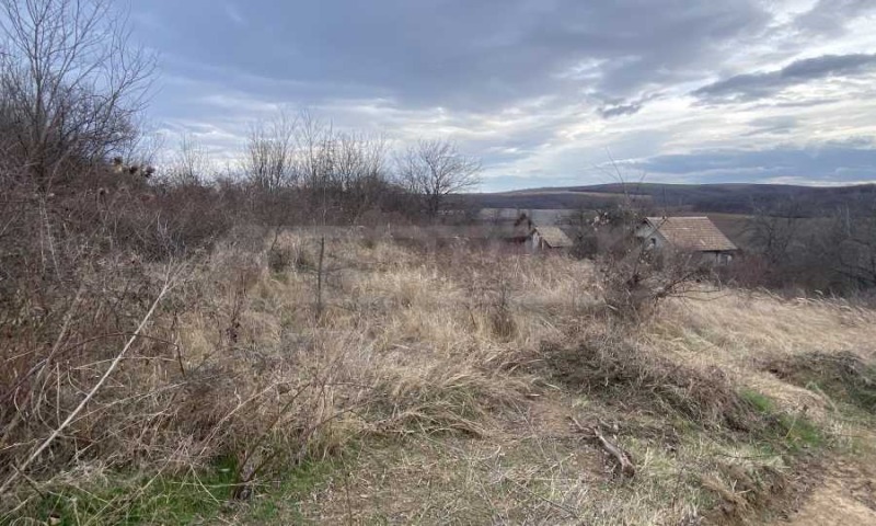 For Sale  Plot region Vidin , Tiyanovtsi , 4400 sq.m | 19323854 - image [2]
